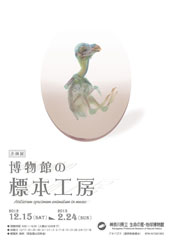企画展「標本工房」チラシおもて