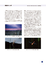 トンボ展展示解説書内容2