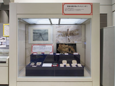 化石状態のトンボ