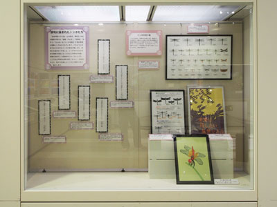精巧な切り絵や読まれた俳句の展示
