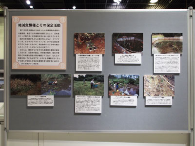 パネル写真と解説の展示