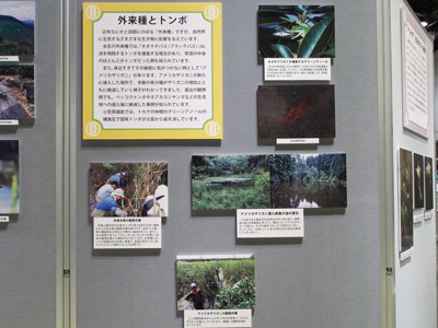 パネル写真と解説の展示