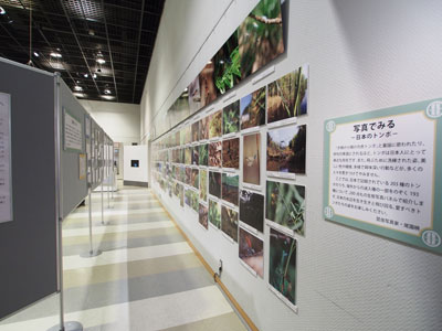 壁面展示の写真