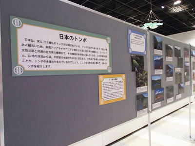 パネル写真と解説の展示