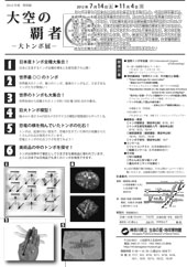 特別展「大トンボ」チラシうら