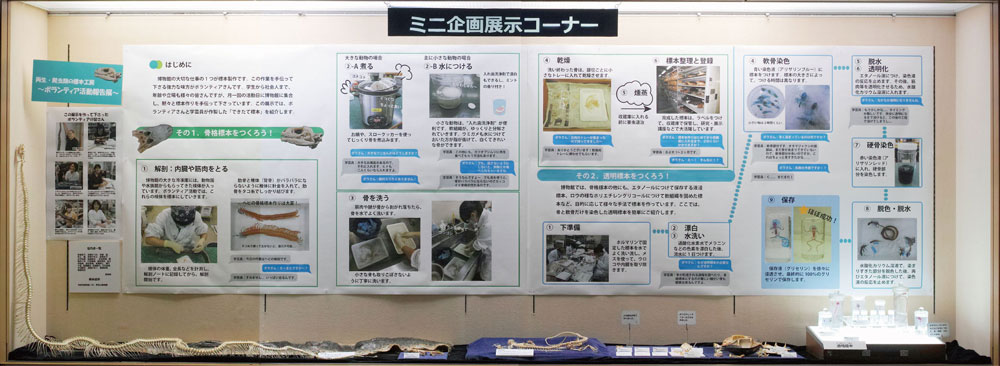 ミニ企画展展示イメージ