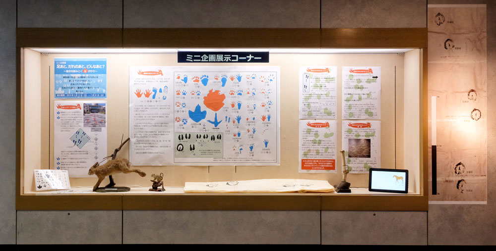 ミニ企画展示イメージ