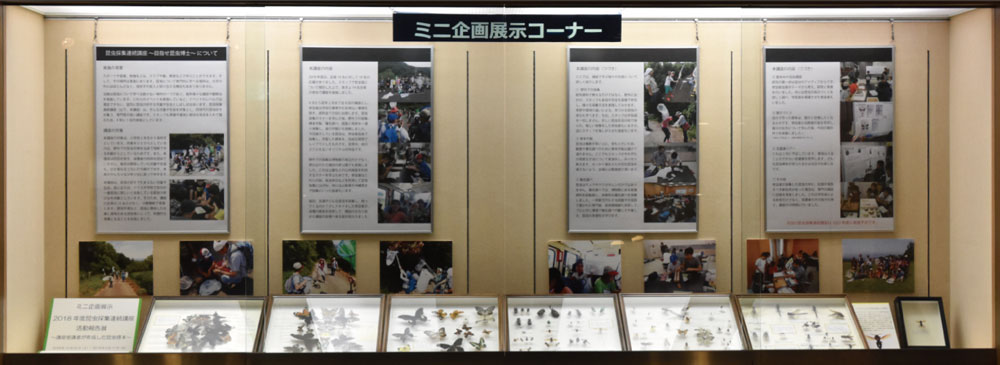 ミニ企画展示イメージ