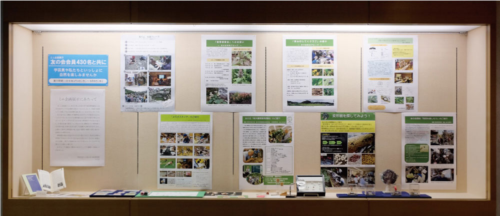ミニ企画展示イメージ