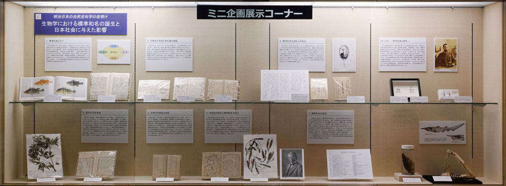 ミニ企画展示イメージ