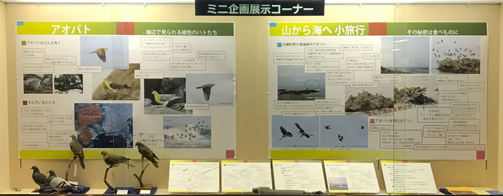 ミニ企画展示イメージ