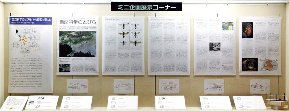 ミニ企画展示イメージ