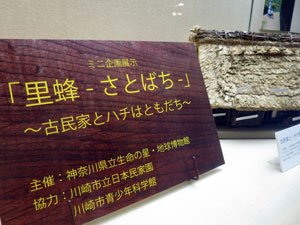 展示タイトル