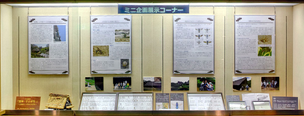 ミニ企画展示イメージ