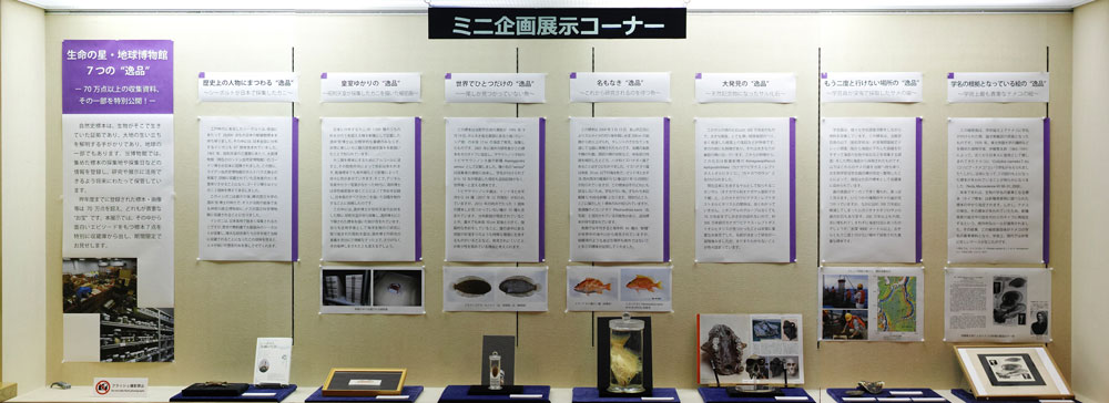 ミニ企画展示イメージ