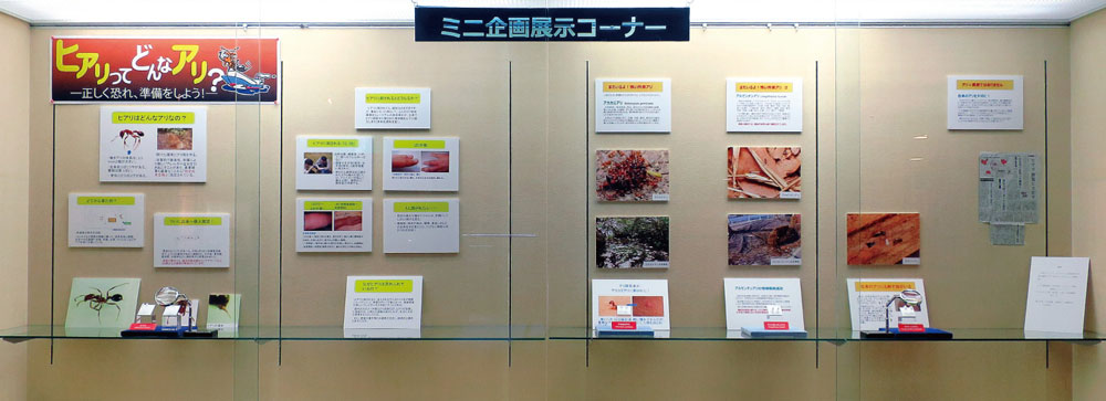 ミニ企画展示イメージ