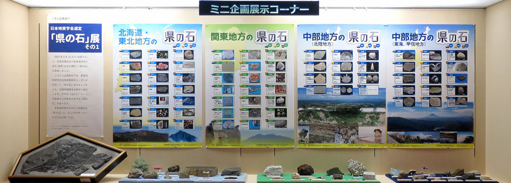ミニ企画展示イメージ