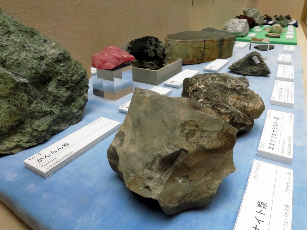 展示の様子1