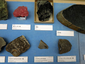 展示の様子2