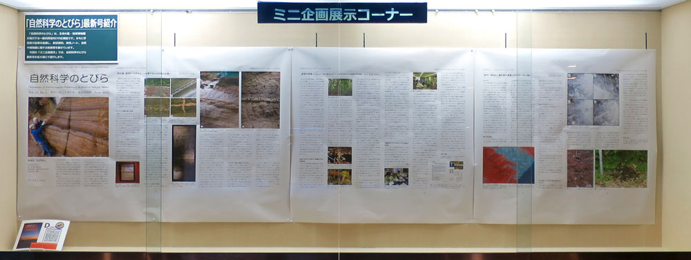 ミニ企画展示イメージ