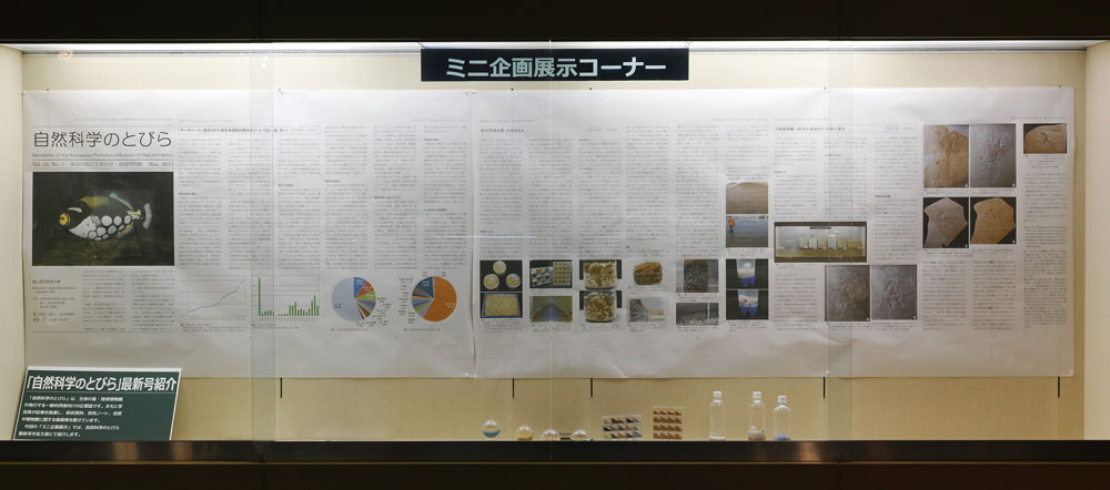 ミニ企画展示イメージ