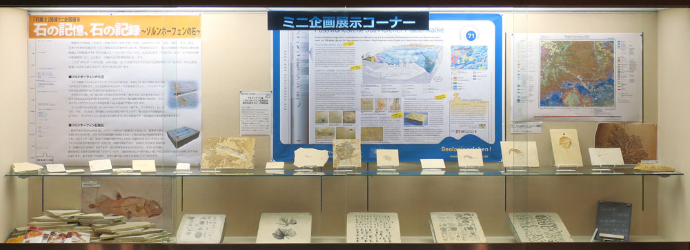 ミニ企画展示イメージ