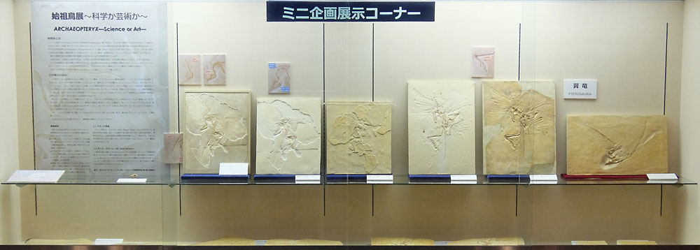 ミニ企画展示イメージ