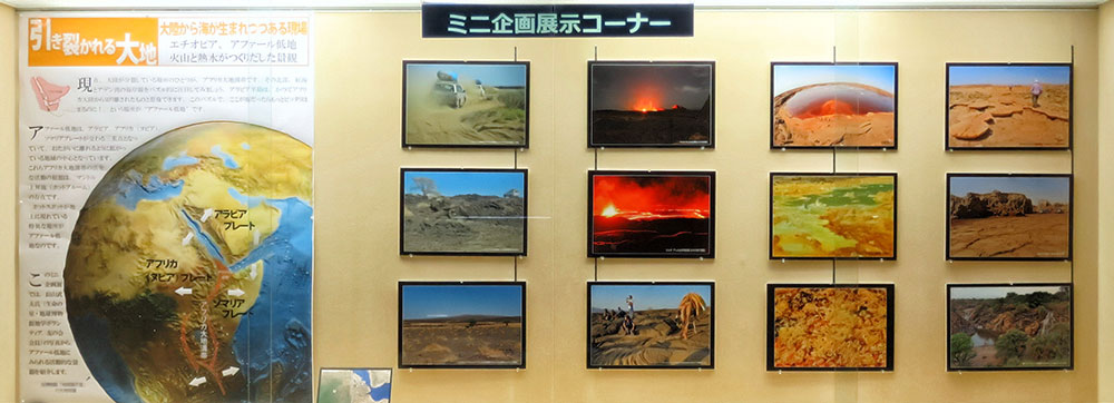 ミニ企画展示イメージ