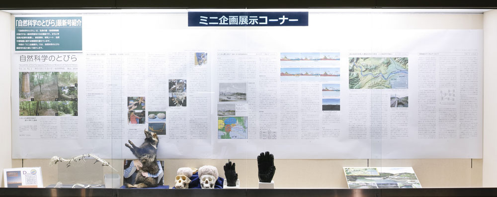 ミニ企画展示イメージ