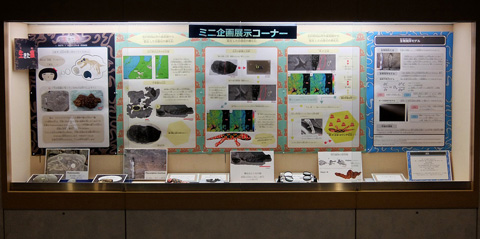 ミニ企画展示イメージ