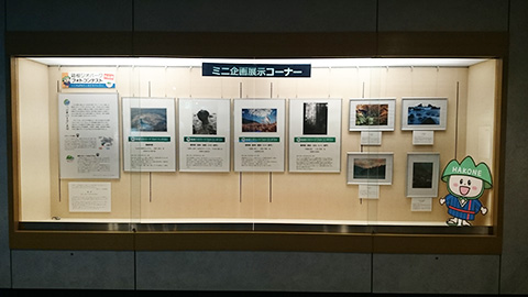 ミニ企画展示イメージ
