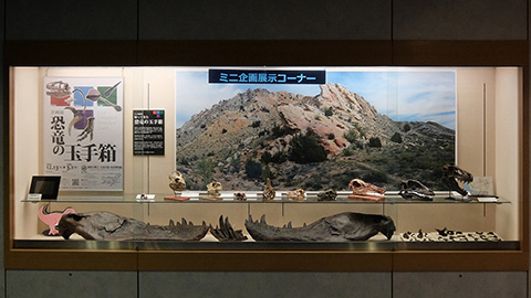 ミニ企画展示イメージ