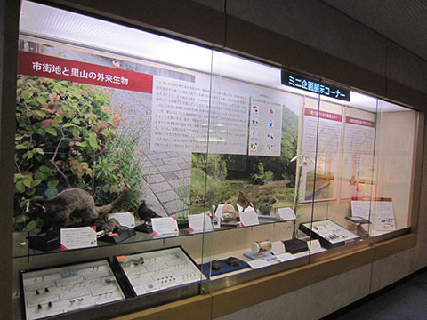 ミニ企画展示イメージ