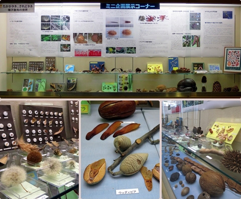 ミニ企画展示イメージ