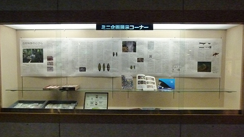 ミニ企画展示イメージ