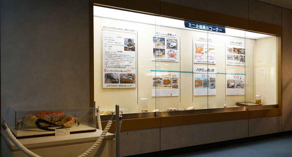 ミニ企画展示イメージ