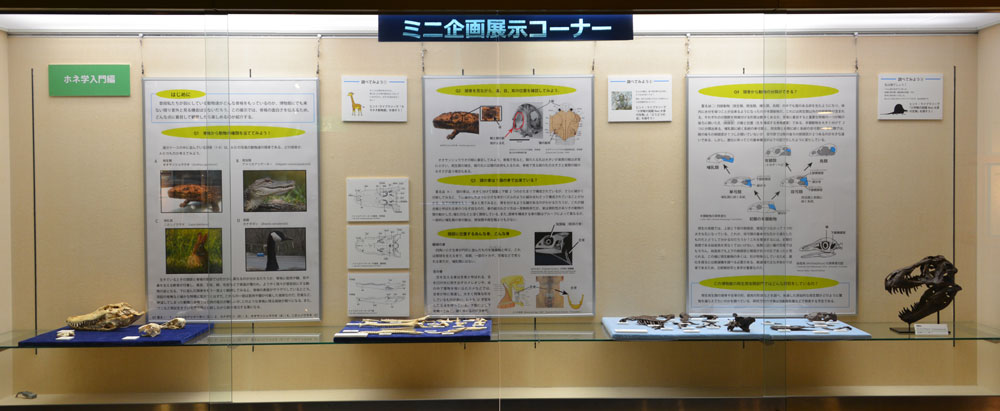 ミニ企画展示イメージ