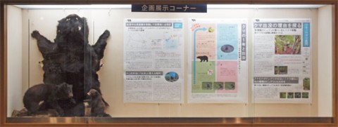展示イメージ