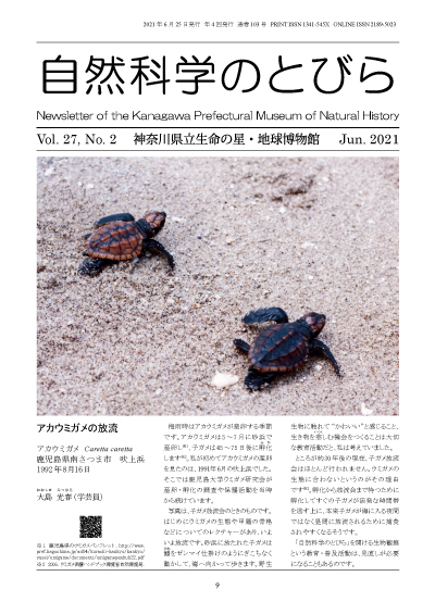自然科学のとびら Vol.27,No.2 表紙