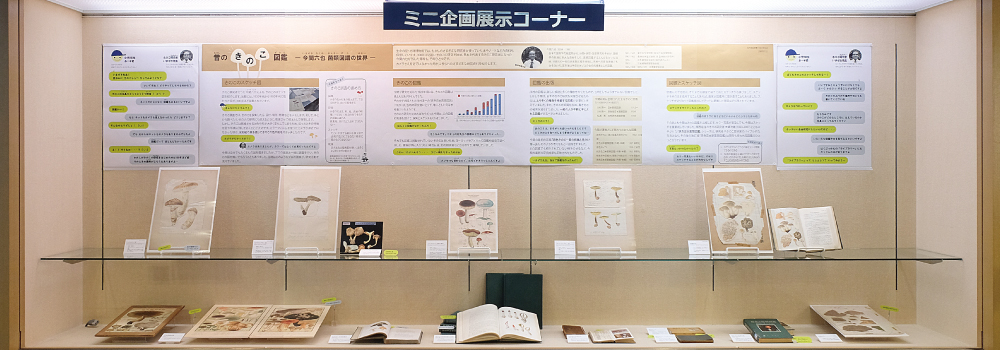 ミニ企画展展示イメージ