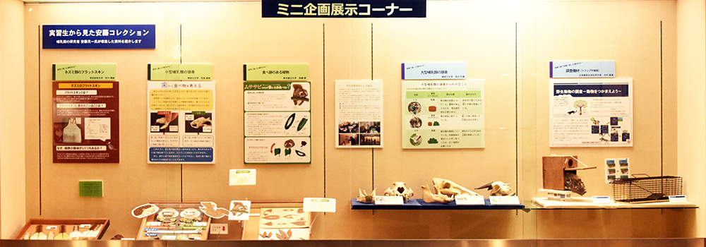 ミニ企画展展示イメージ