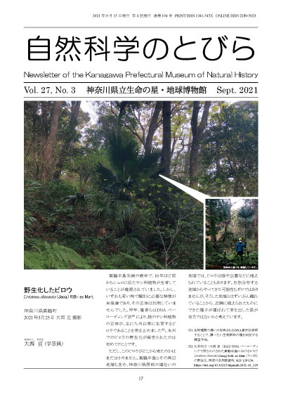 自然科学のとびら Vol.27,No.3 表紙