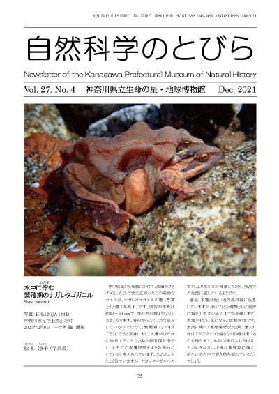 自然科学のとびら Vol.27,No.4 表紙