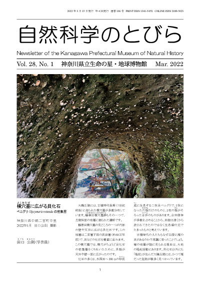 自然科学のとびら Vol.27,No.4 表紙