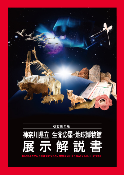 展示解説書_画像
