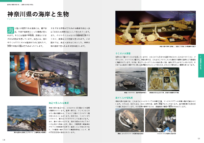 展示解説書_サンプル