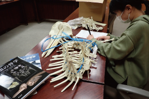 西村双葉の画像