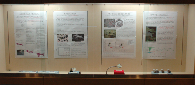 展示イメージ