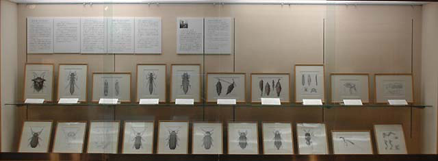 展示イメージ