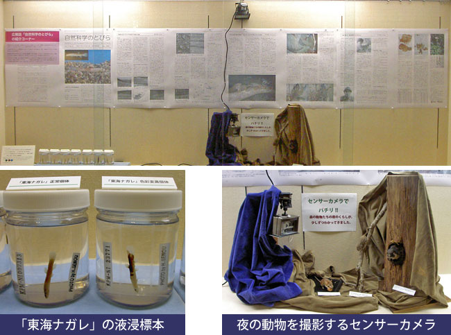 展示イメージ